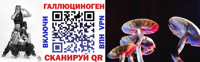 Псилоцибиновые грибы прущие грибы  где купить наркоту  Новоржев 